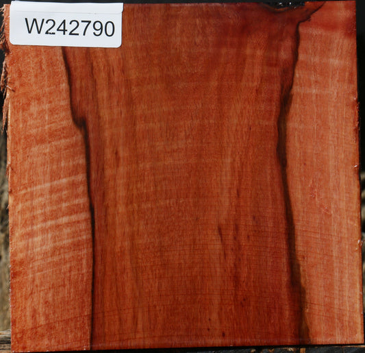 Figured Beefwood Bowl Blank