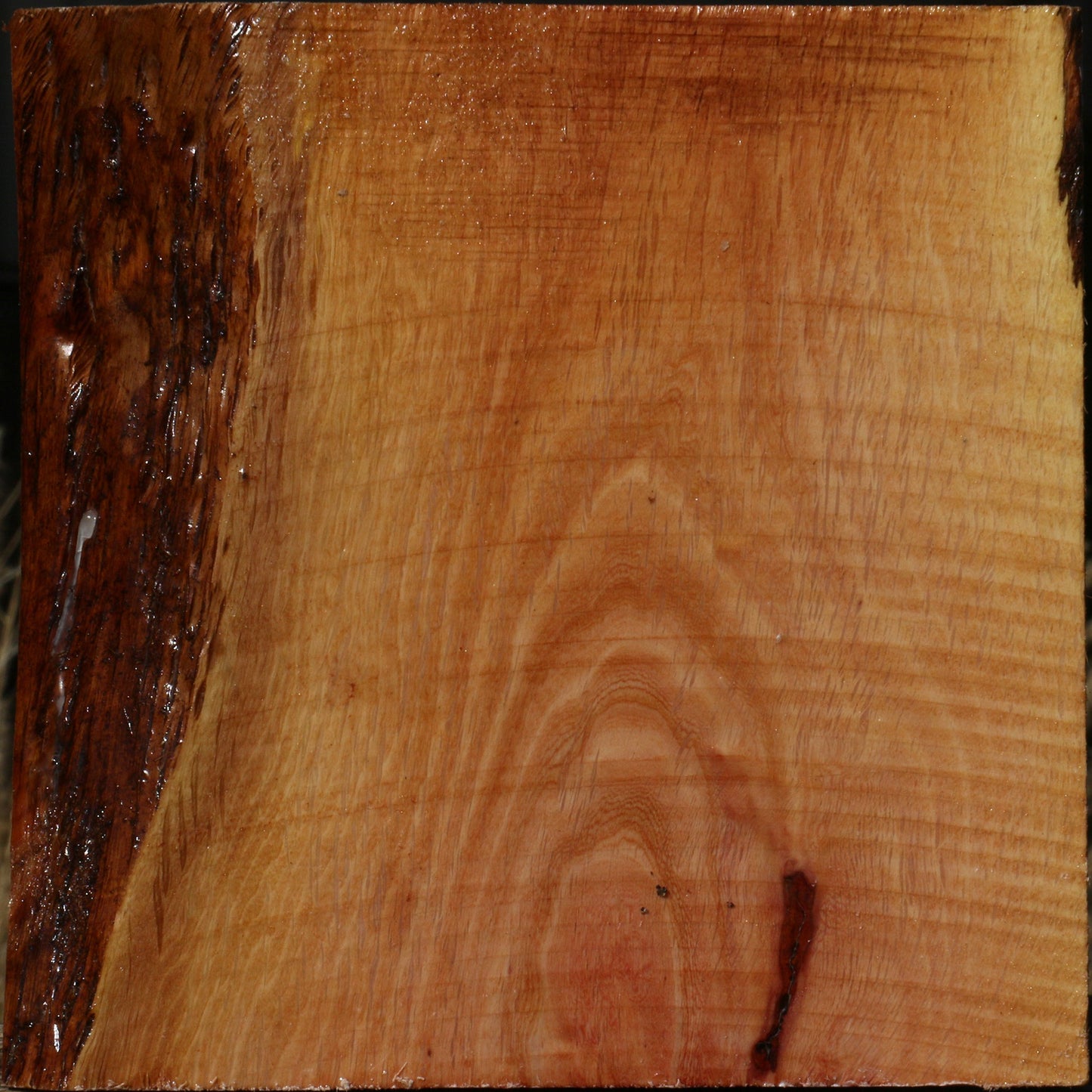 Extra Fancy Beefwood Bowl Blank