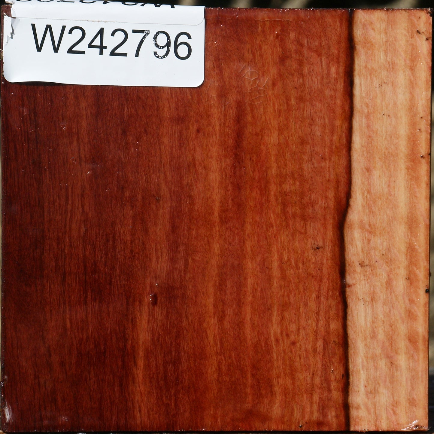 Figured Beefwood Bowl Blank