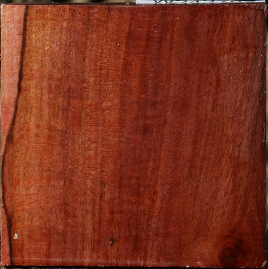 Figured Beefwood Bowl Blank