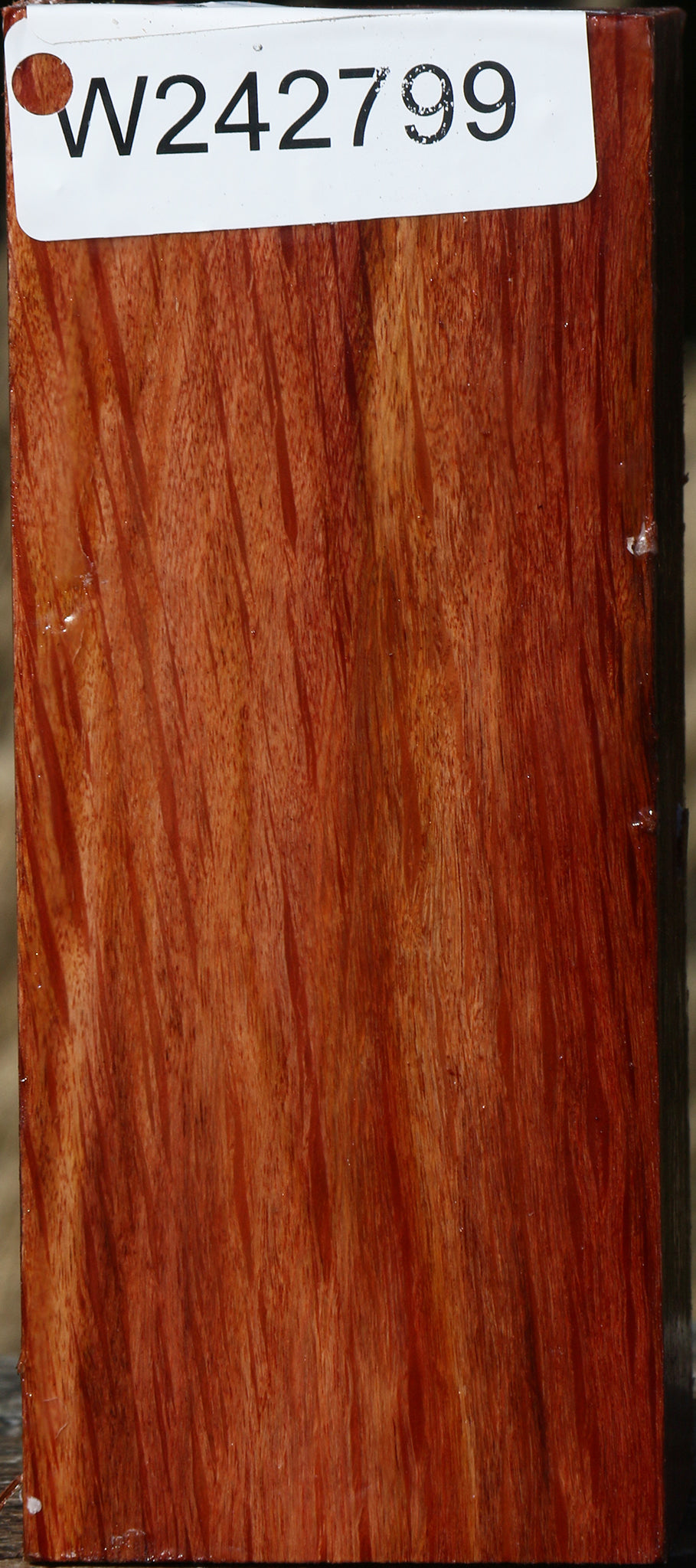 Figured Beefwood Turning Square