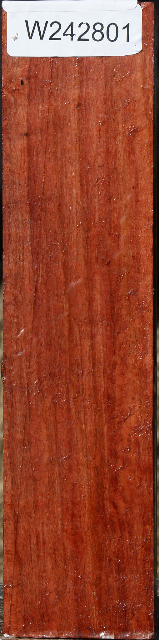 Extra Fancy Beefwood Peppermill