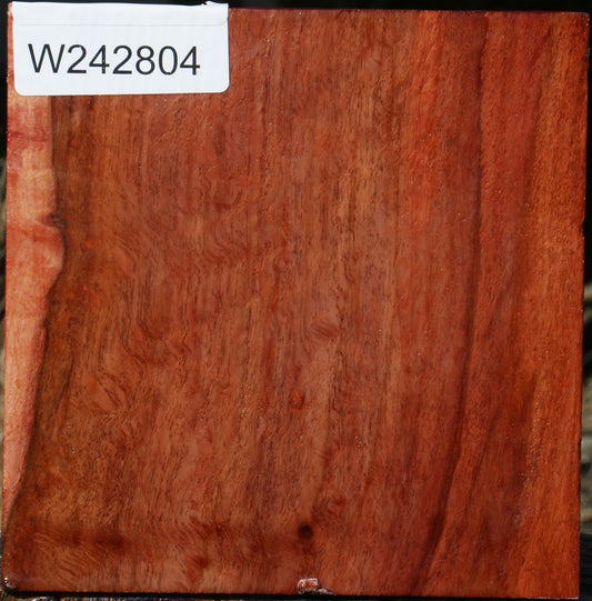 Figured Beefwood Bowl Blank