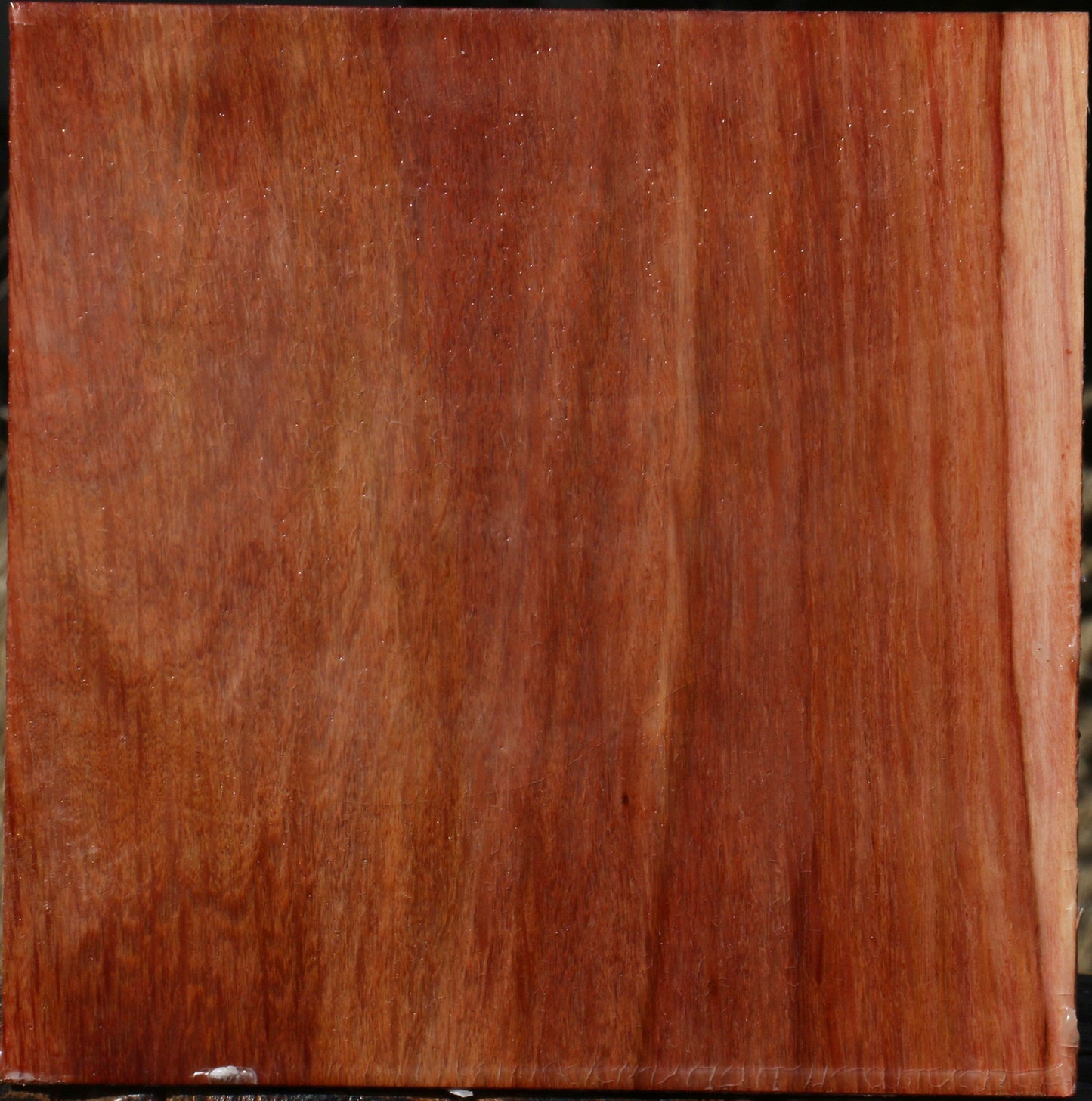 Figured Beefwood Bowl Blank