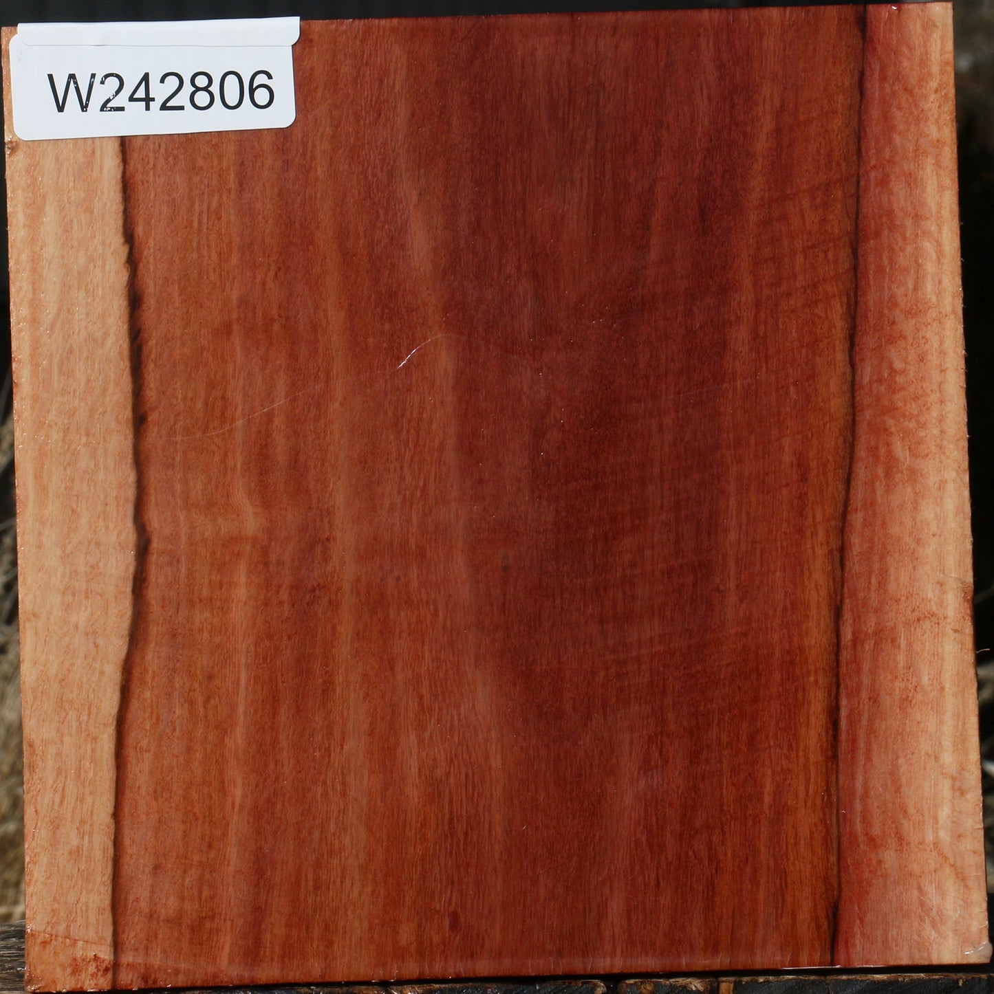 Figured Beefwood Live Edge Bowl Blank