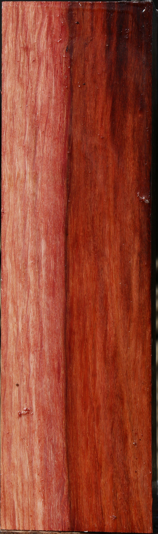 Extra Fancy Beefwood Peppermill