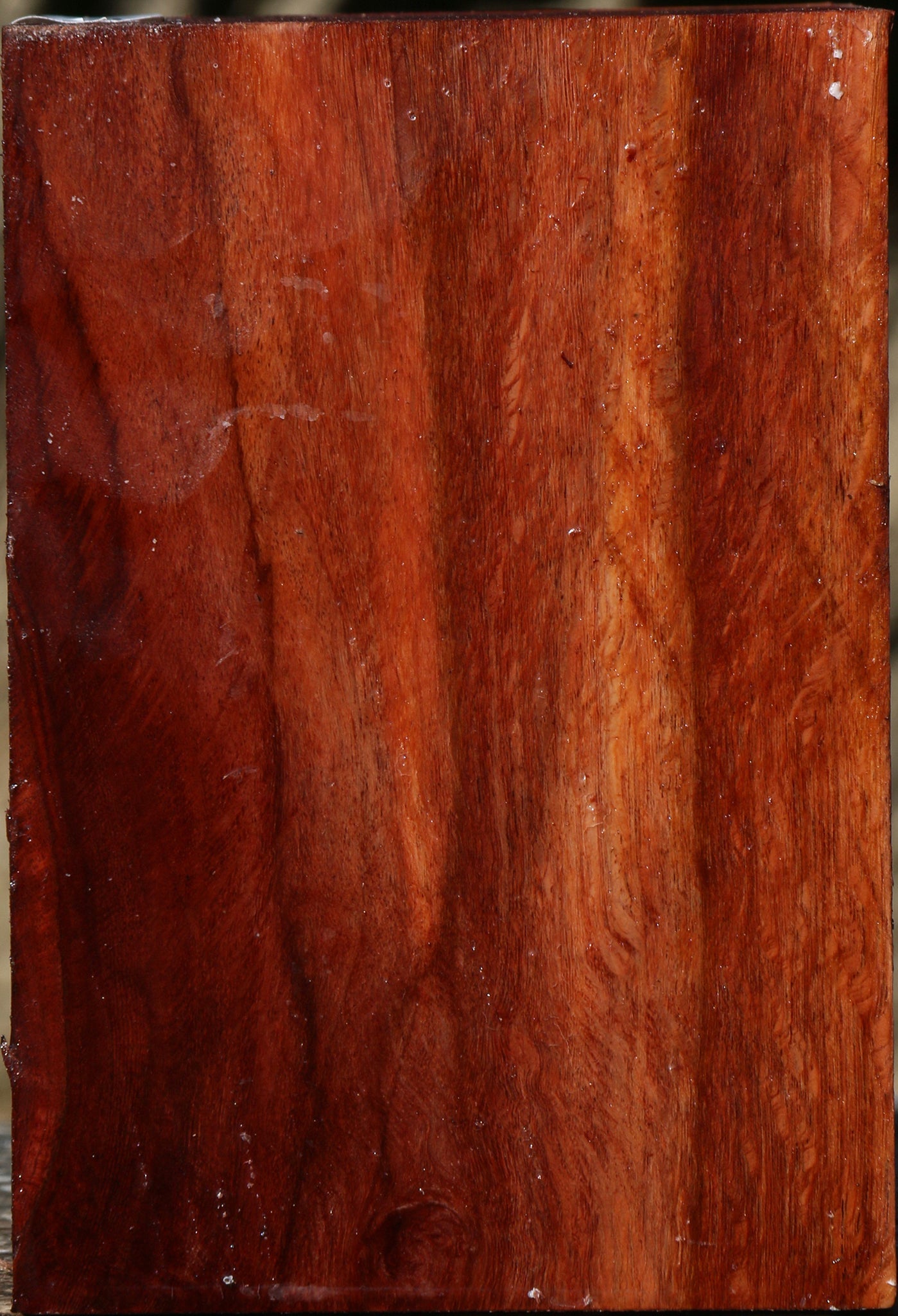 Figured Beefwood Turning Square