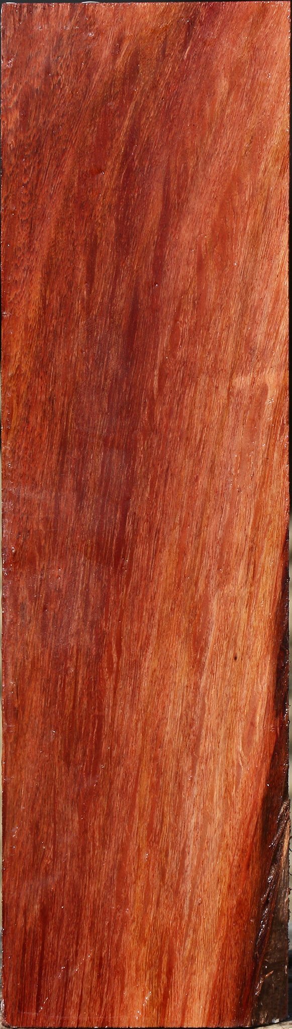 Figured Beefwood Peppermill