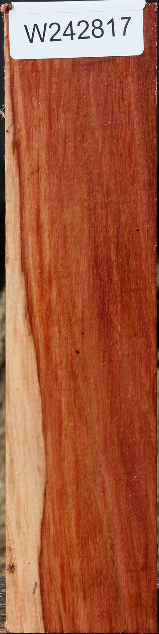 Figured Beefwood Peppermill