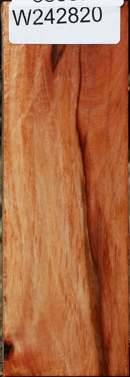 Beefwood Turning Square