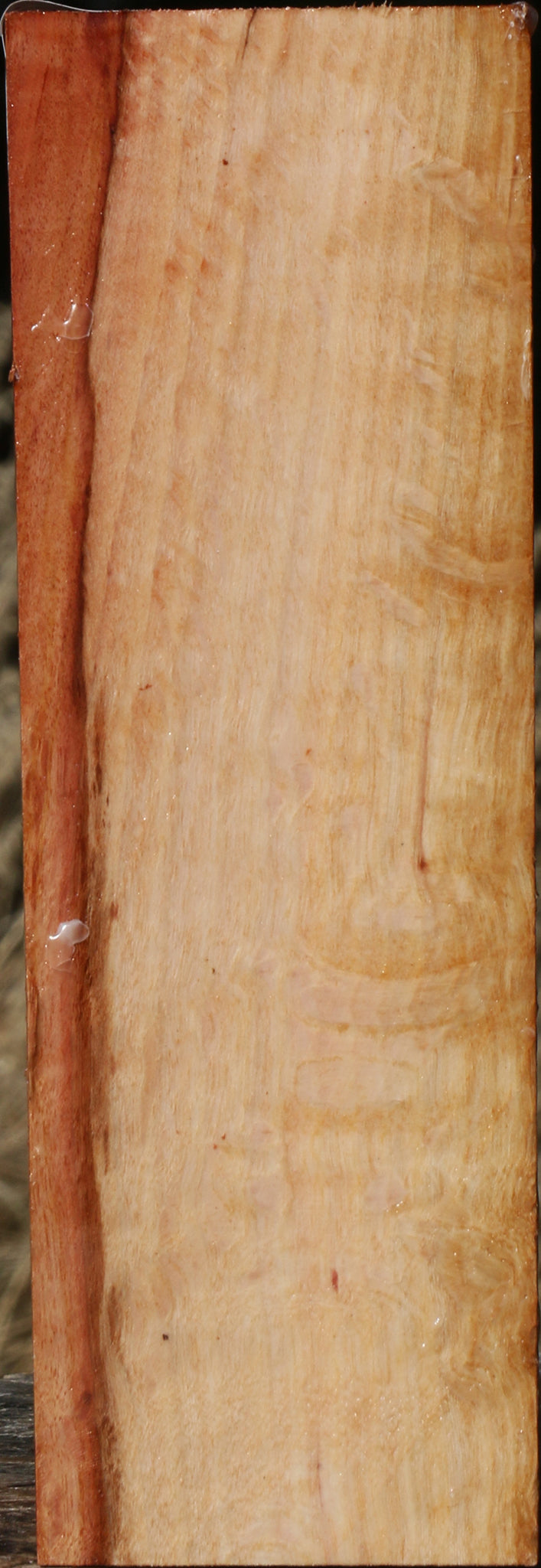 Beefwood Turning Square