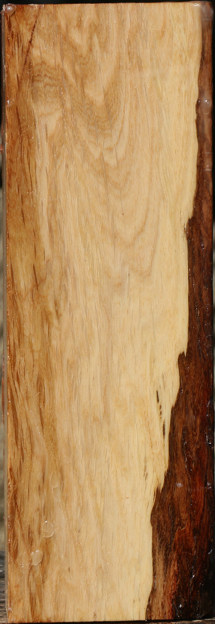 Beefwood Turning Square