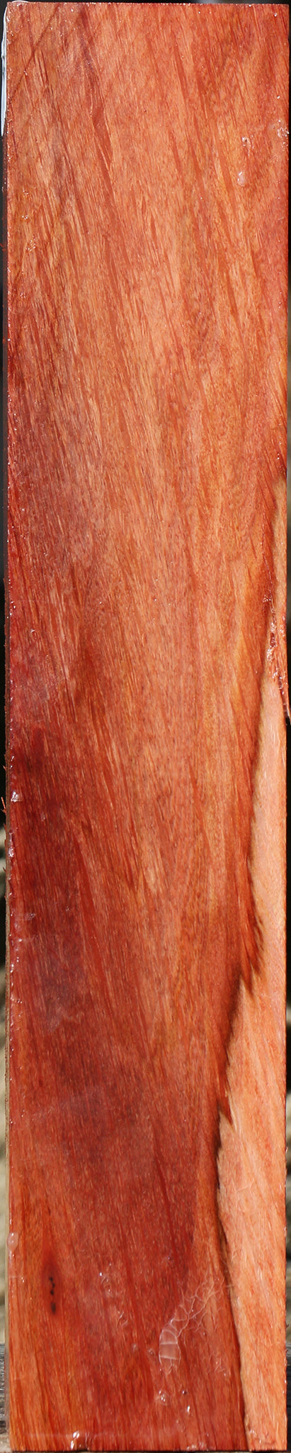 Extra Fancy Beefwood Peppermill