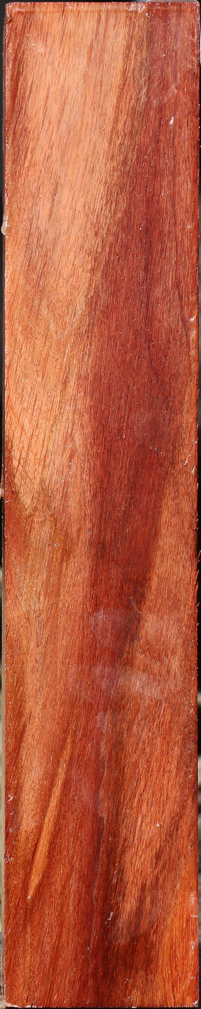 Extra Fancy Beefwood Peppermill