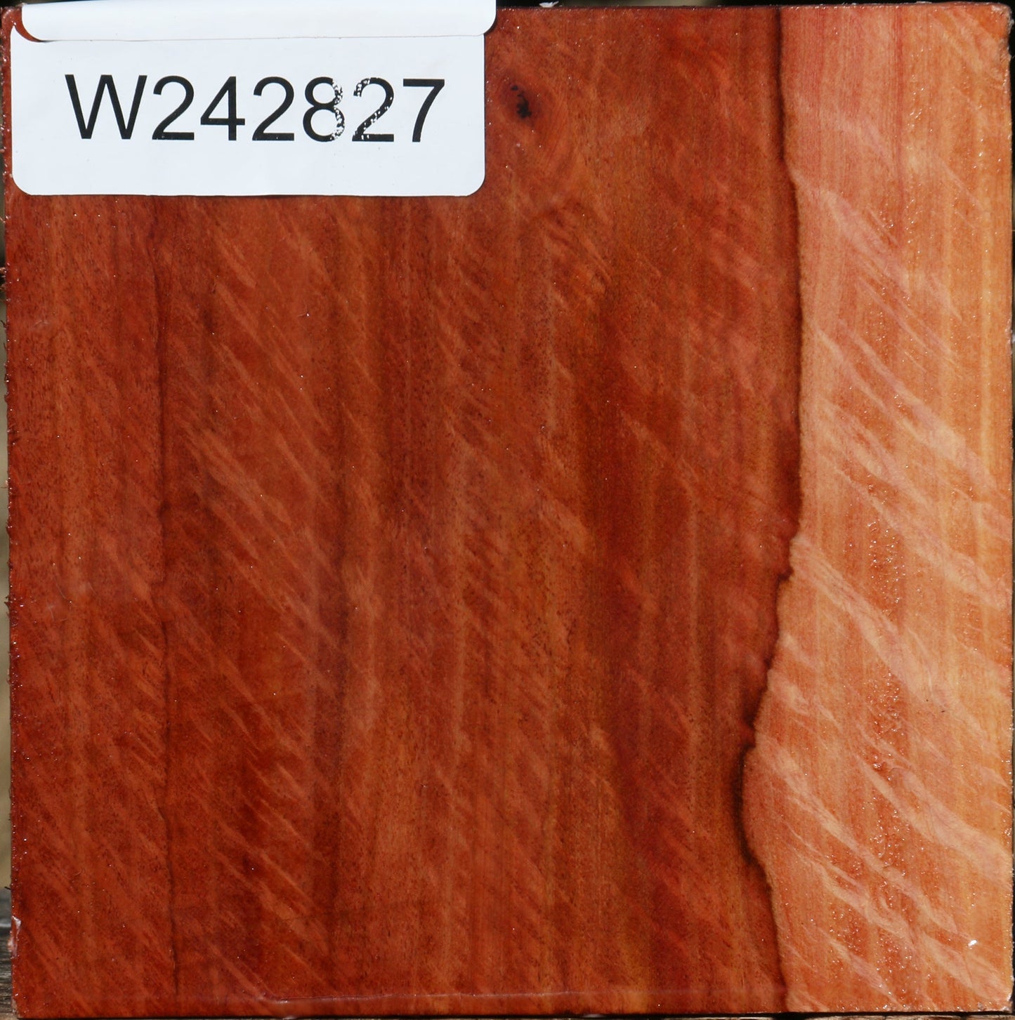 Extra Fancy Beefwood Bowl Blank