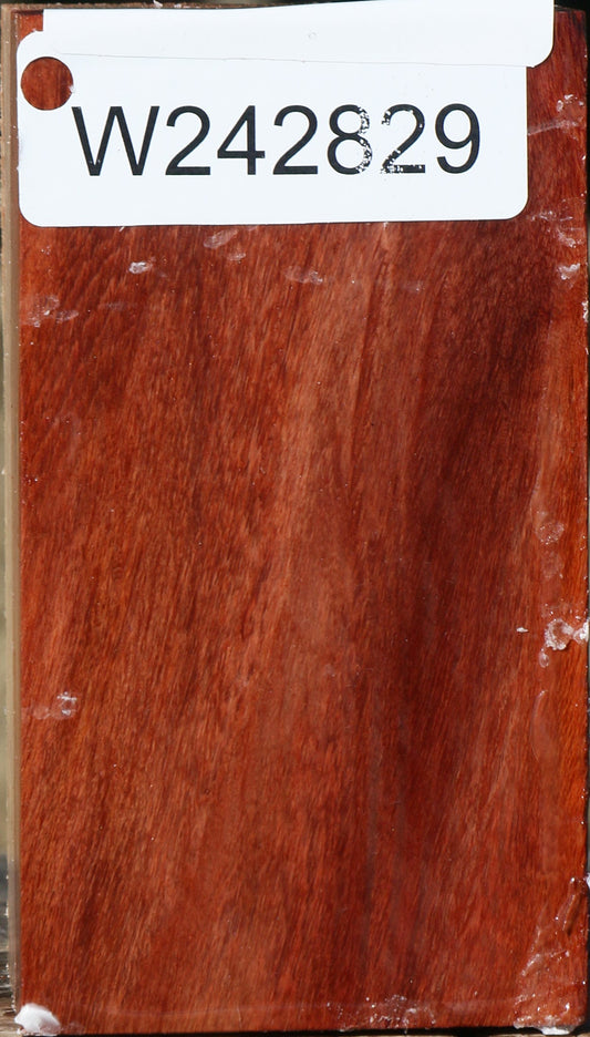 Beefwood Turning Square