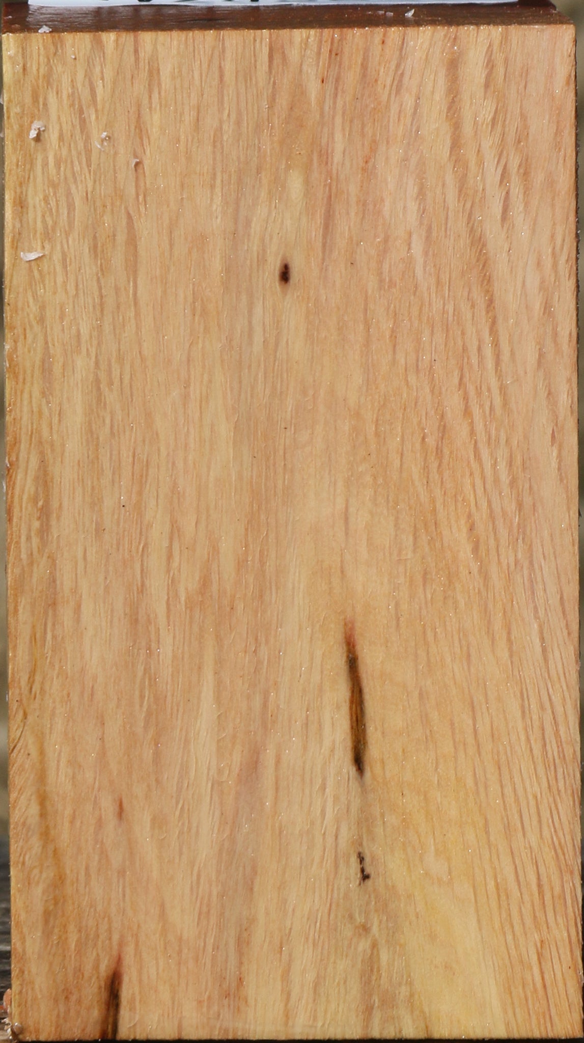 Beefwood Turning Square