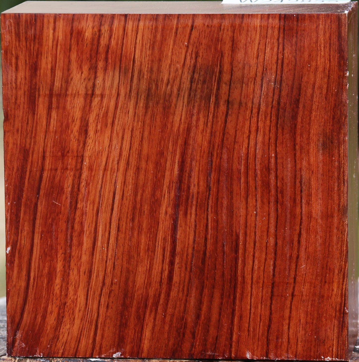 Bubinga Bowl Blank