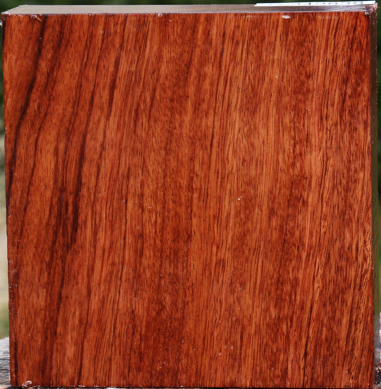 Bubinga Bowl Blank
