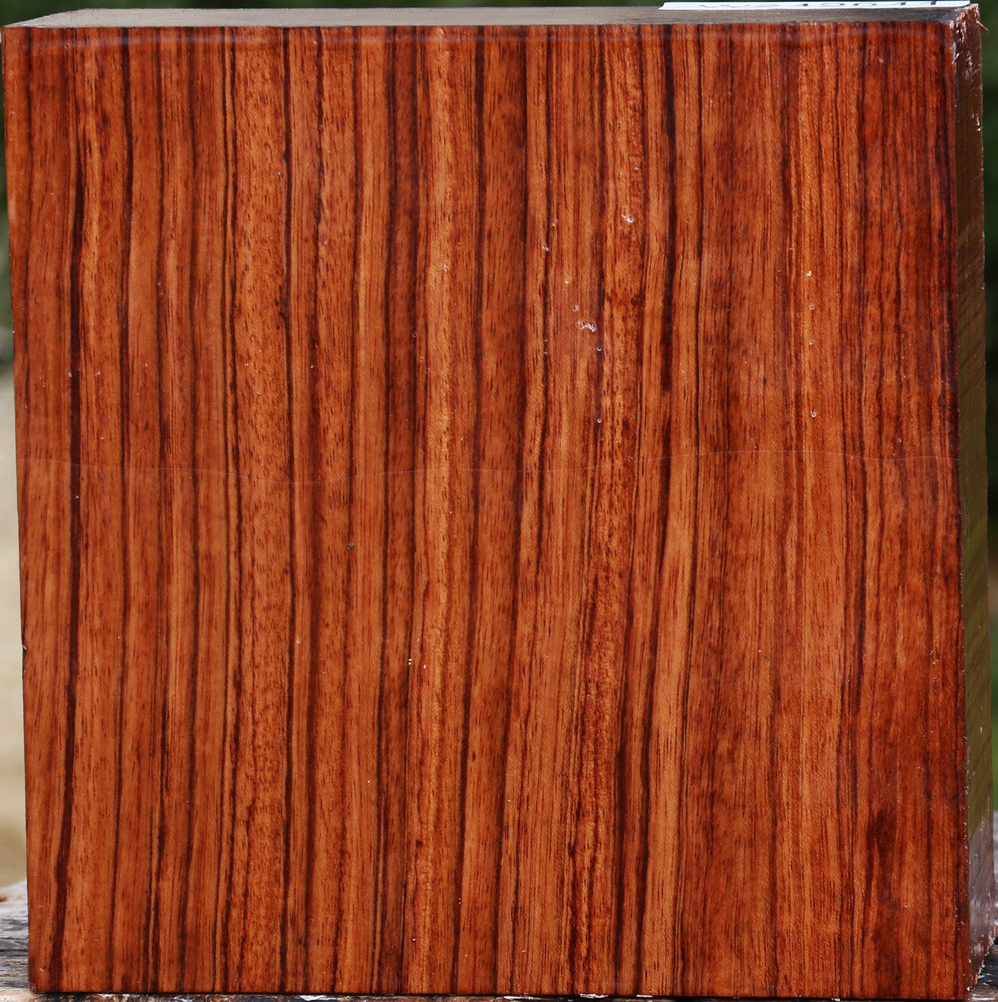 Bubinga Bowl Blank