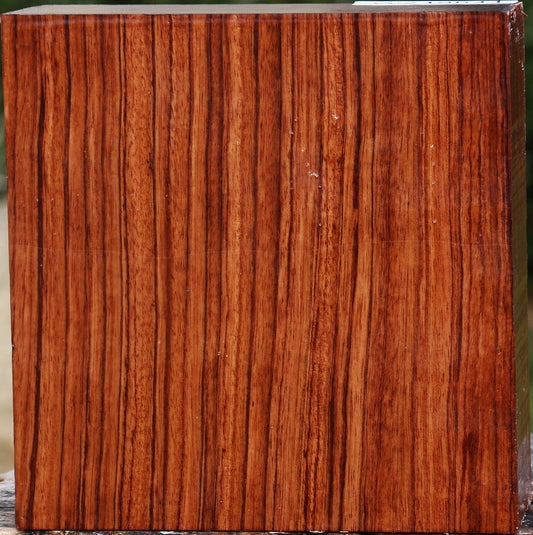 Bubinga Bowl Blank