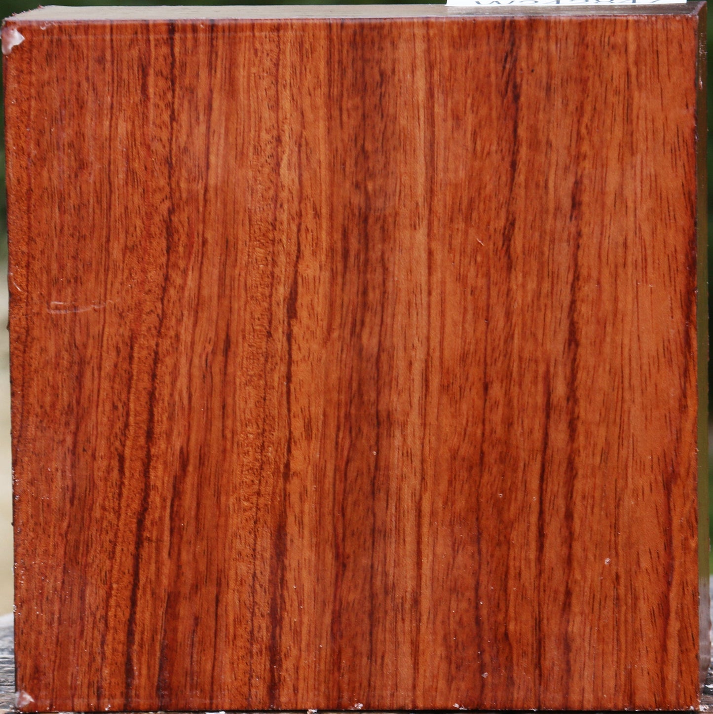 Bubinga Bowl Blank