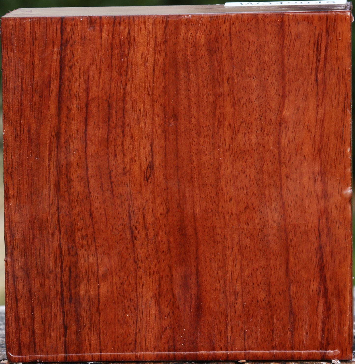 Bubinga Bowl Blank