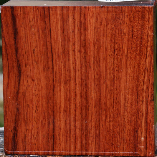 Bubinga Bowl Blank