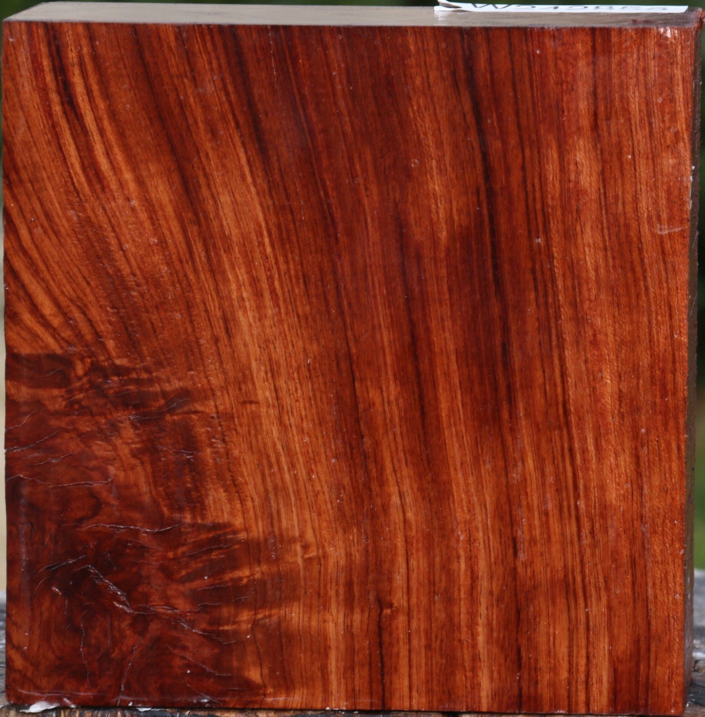 Bubinga Bowl Blank