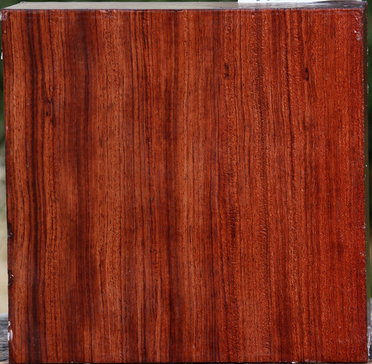 Bubinga Bowl Blank