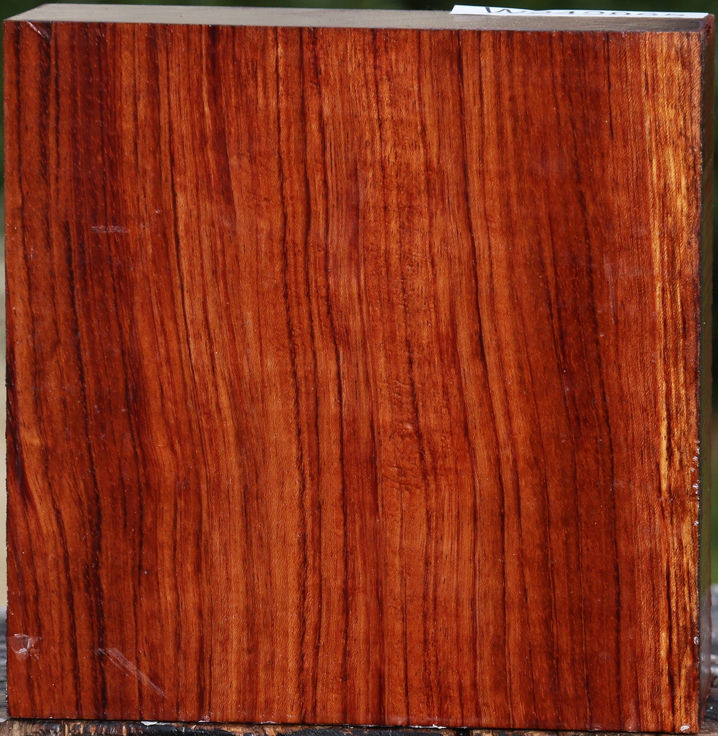 Bubinga Bowl Blank