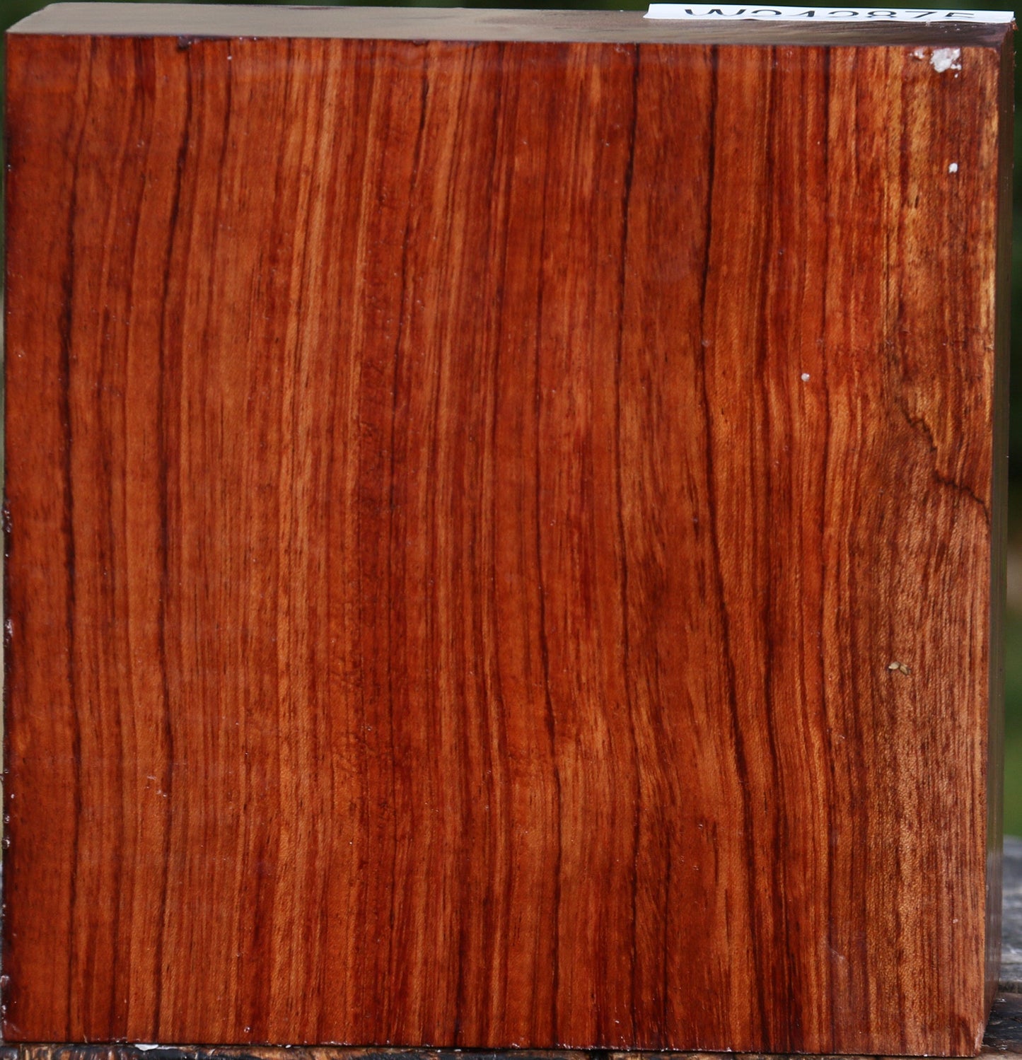 Bubinga Bowl Blank