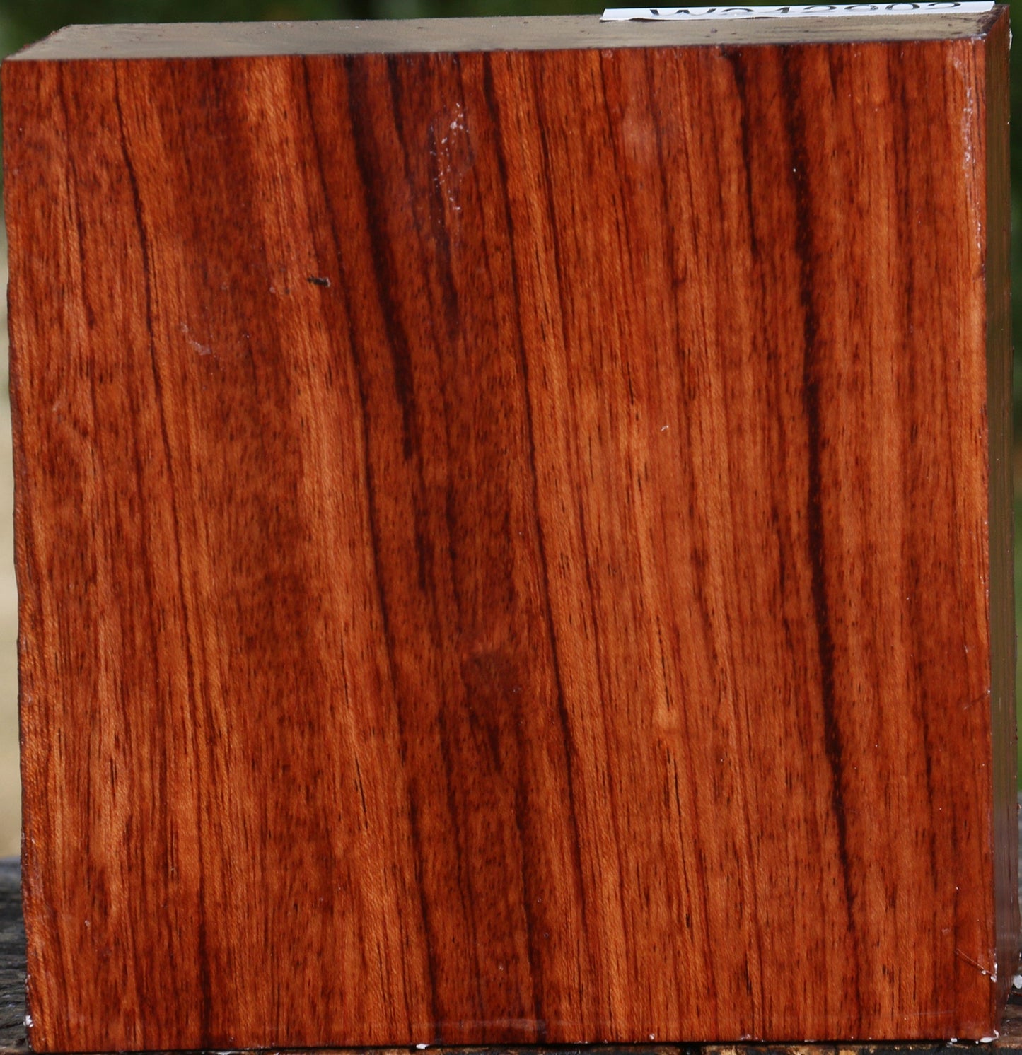 Bubinga Bowl Blank