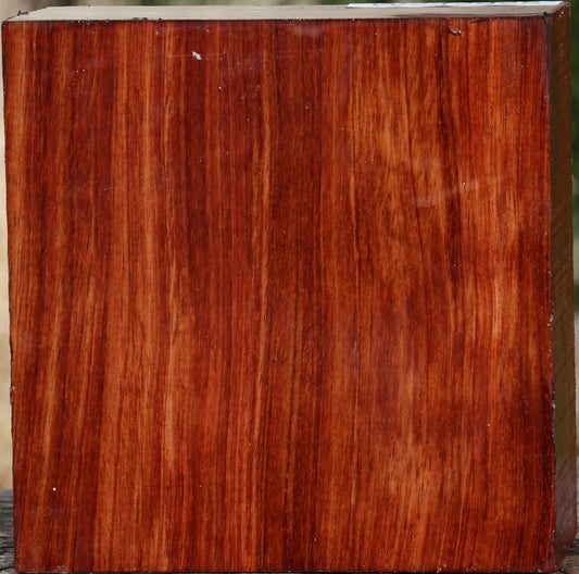 Bubinga Bowl Blank