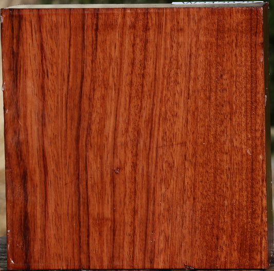 Bubinga Bowl Blank