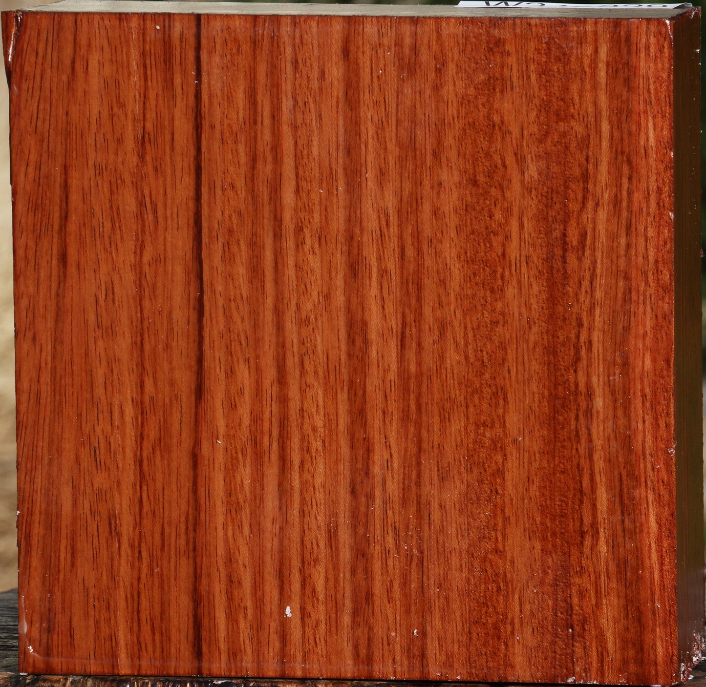 Bubinga Bowl Blank