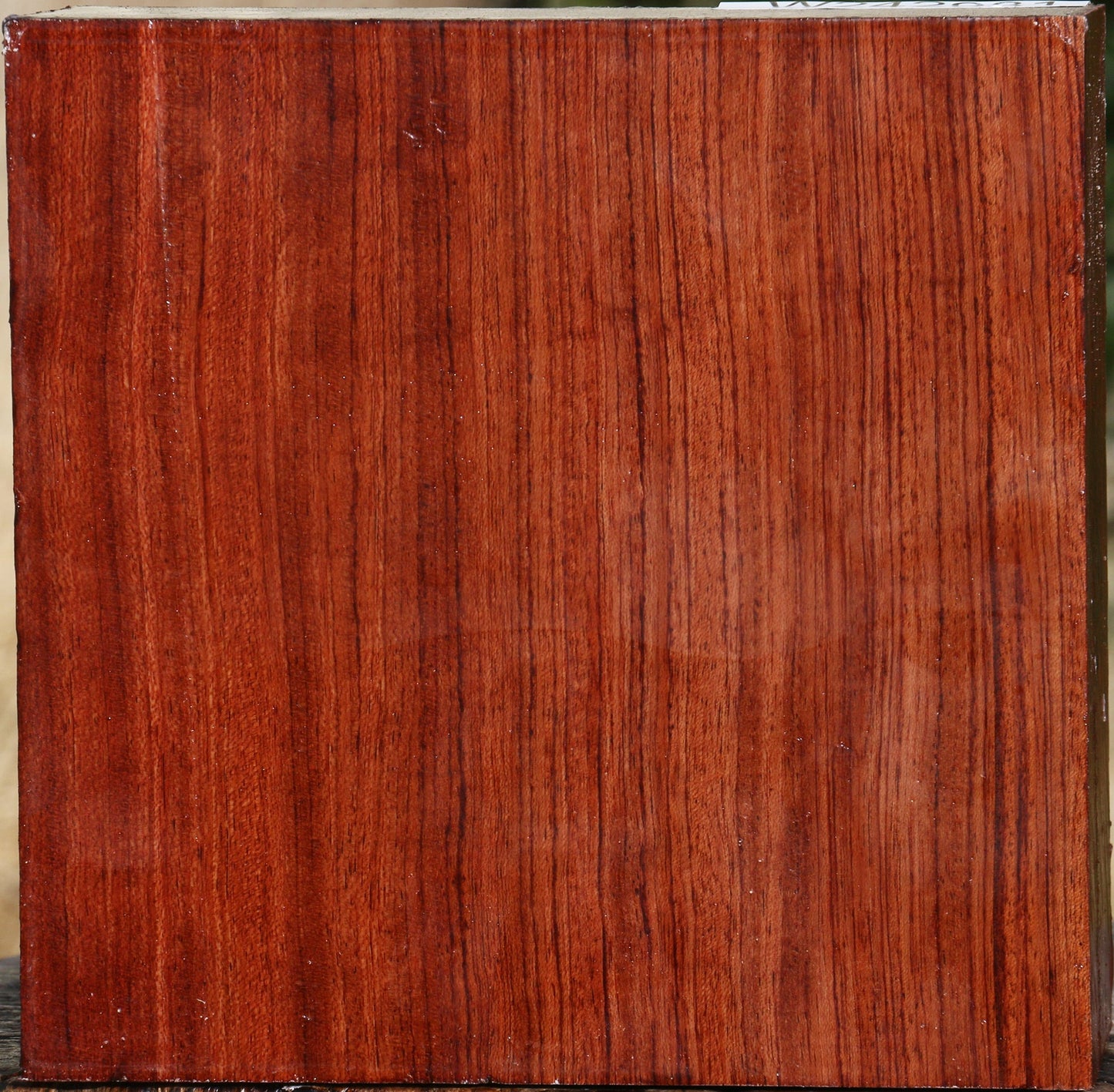 Bubinga Bowl Blank