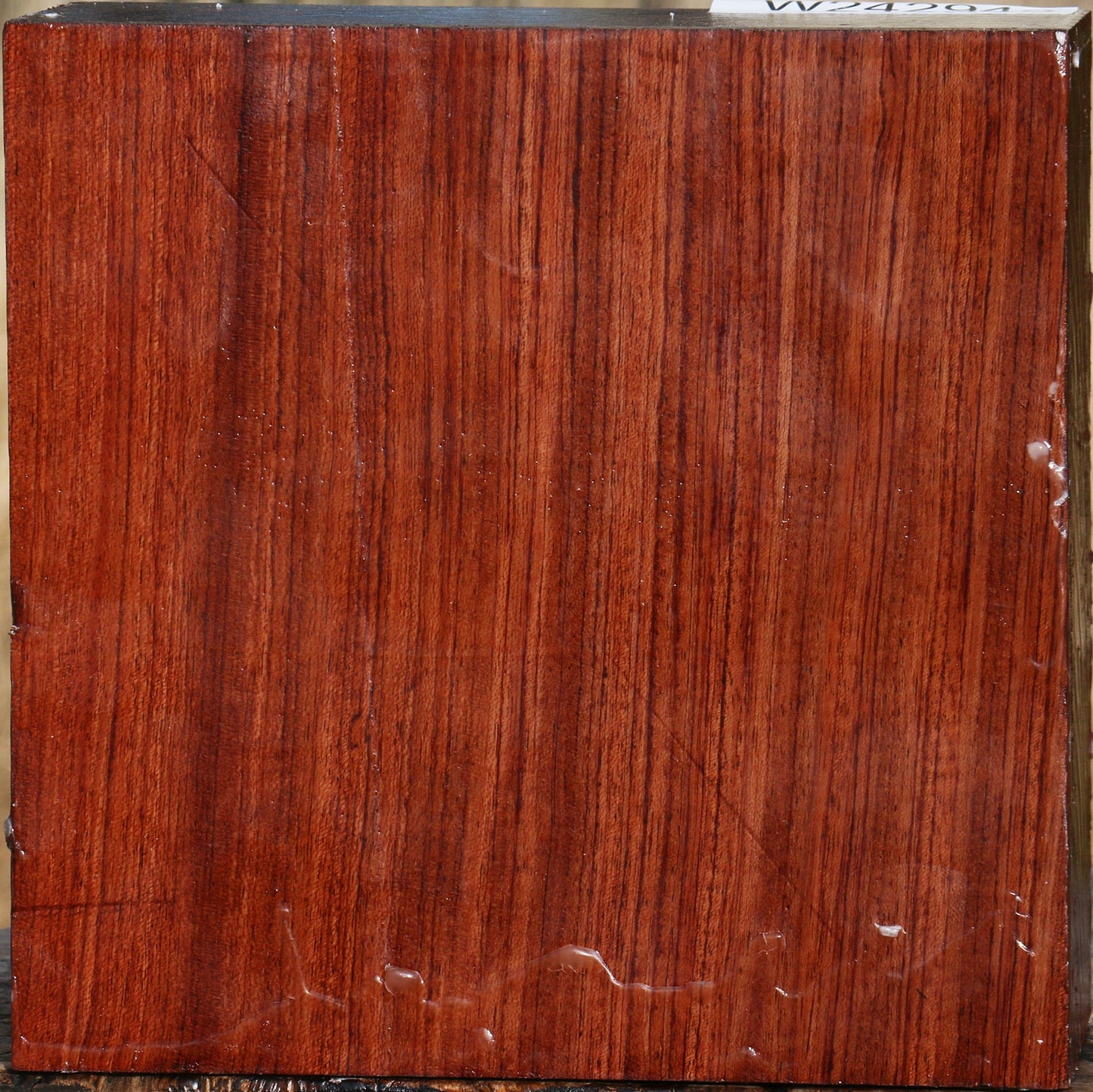 Bubinga Bowl Blank