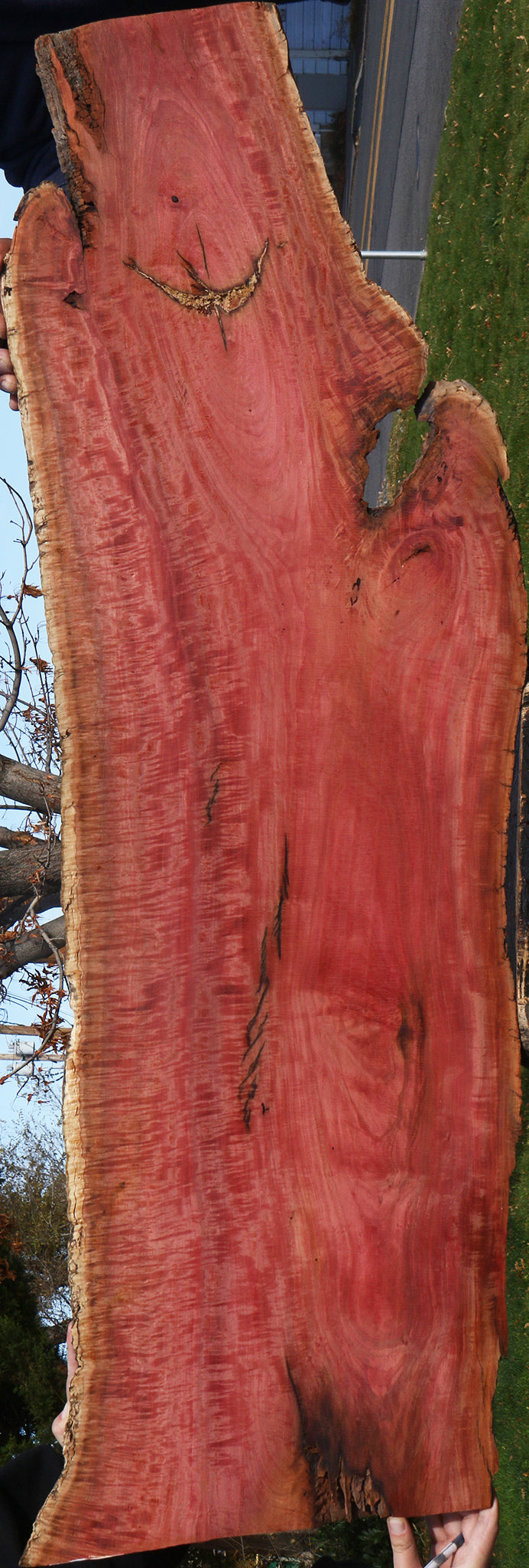Extra Fancy Pink Ivory Live Edge Micro Lumber