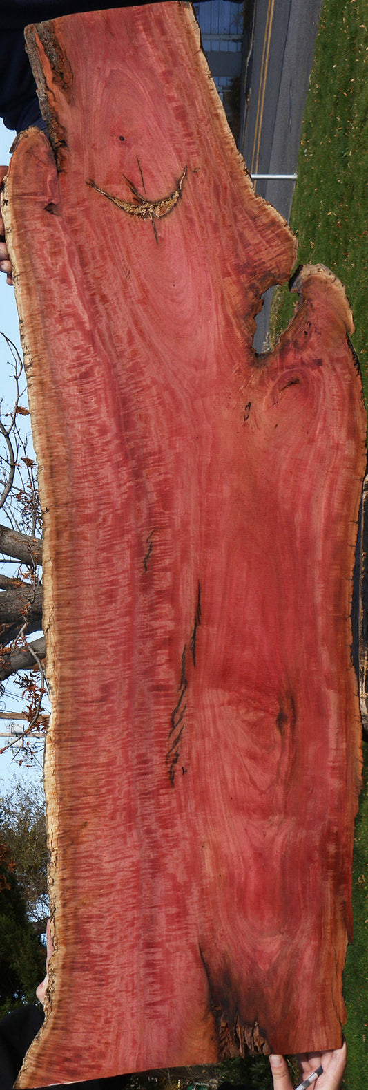 Extra Fancy Pink Ivory Live Edge Micro Lumber