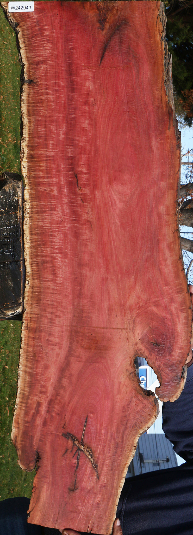 Extra Fancy Pink Ivory Live Edge Micro Lumber