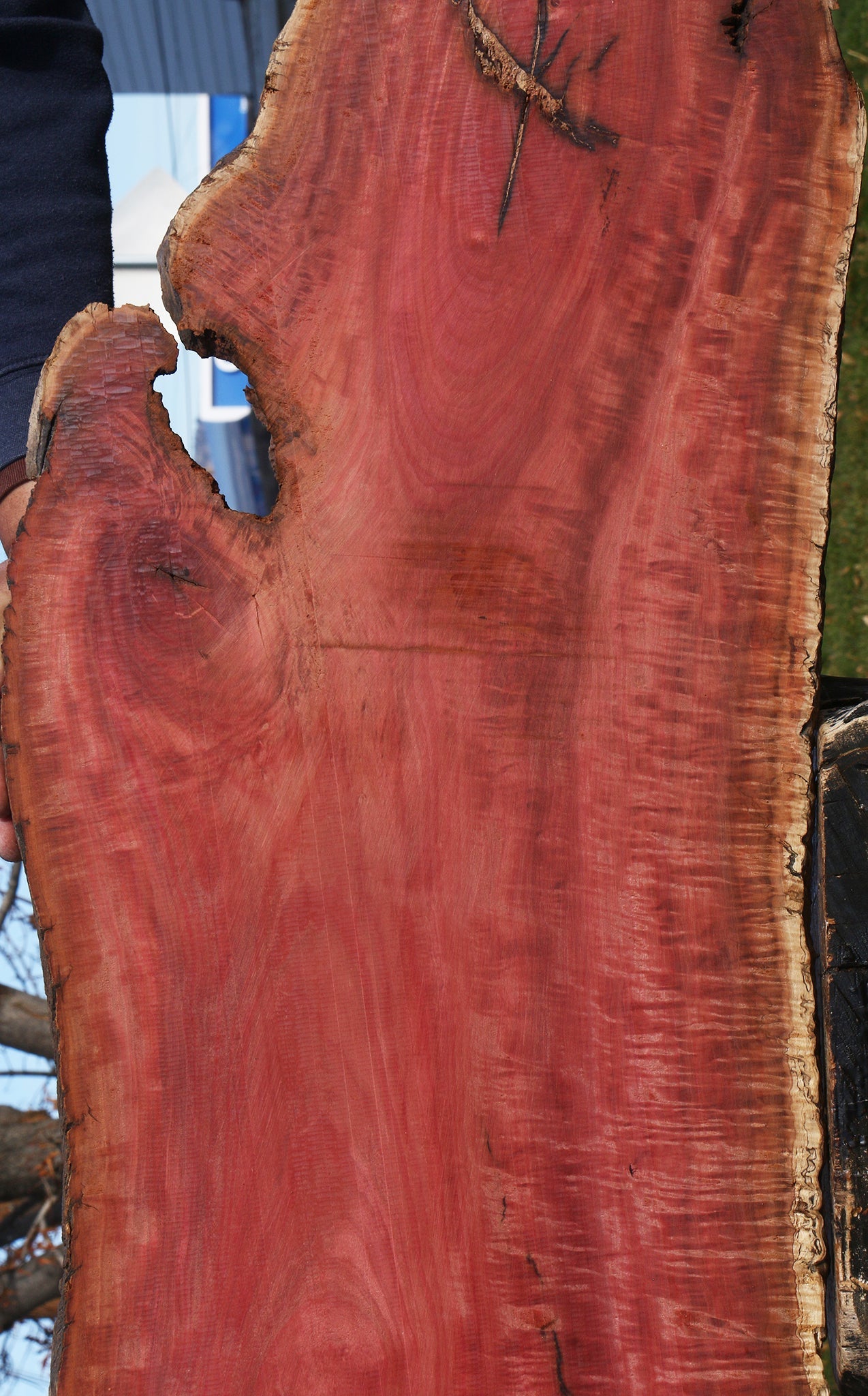 Extra Fancy Pink Ivory Live Edge Micro Lumber