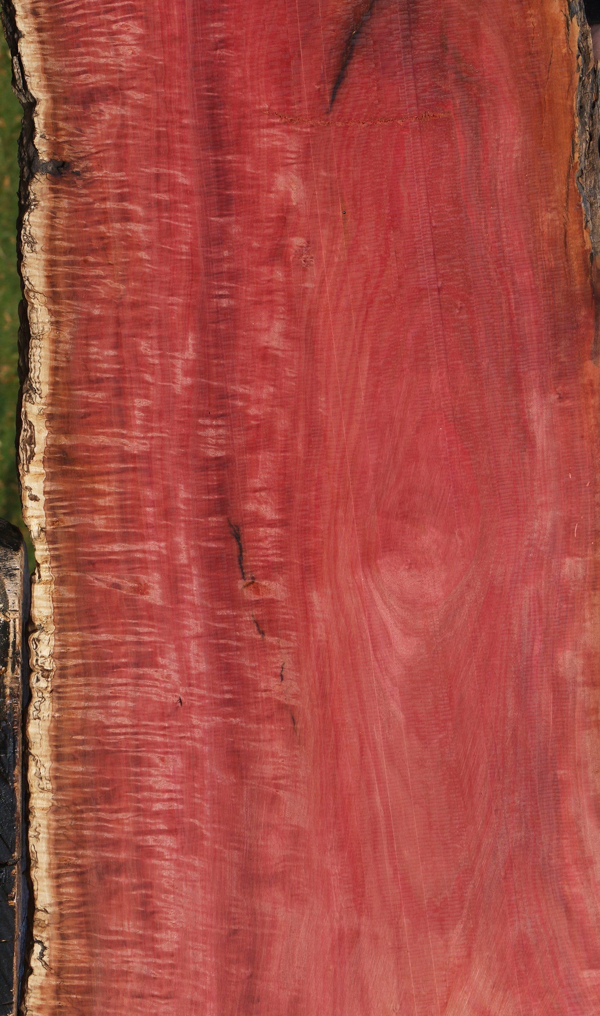 Extra Fancy Pink Ivory Live Edge Micro Lumber