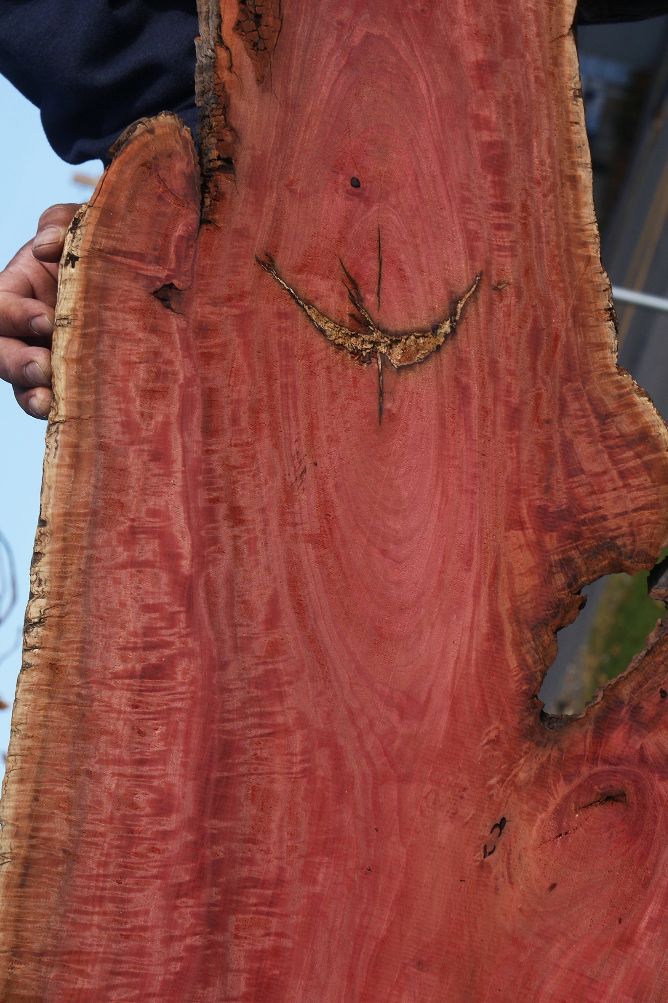 Extra Fancy Pink Ivory Live Edge Micro Lumber