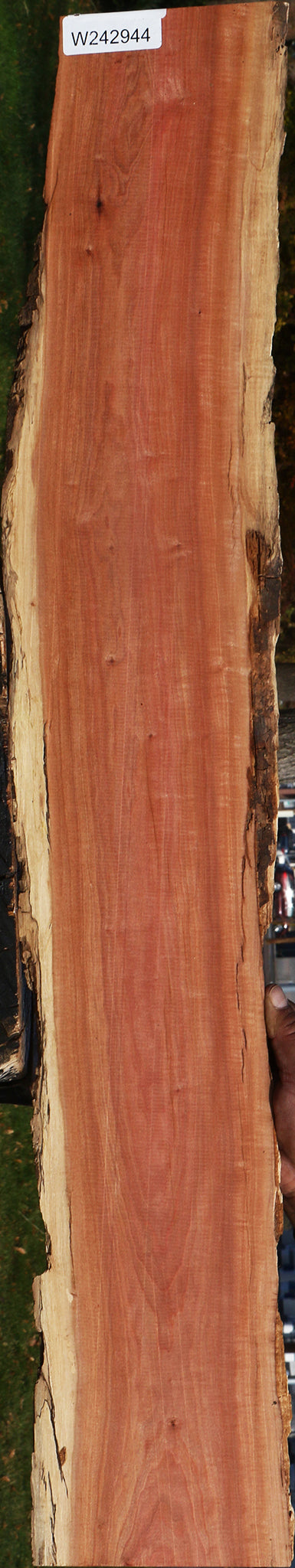 Figured Pink Ivory Live Edge Micro Lumber