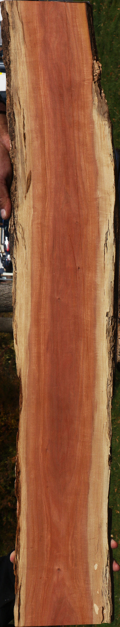 Figured Pink Ivory Live Edge Micro Lumber