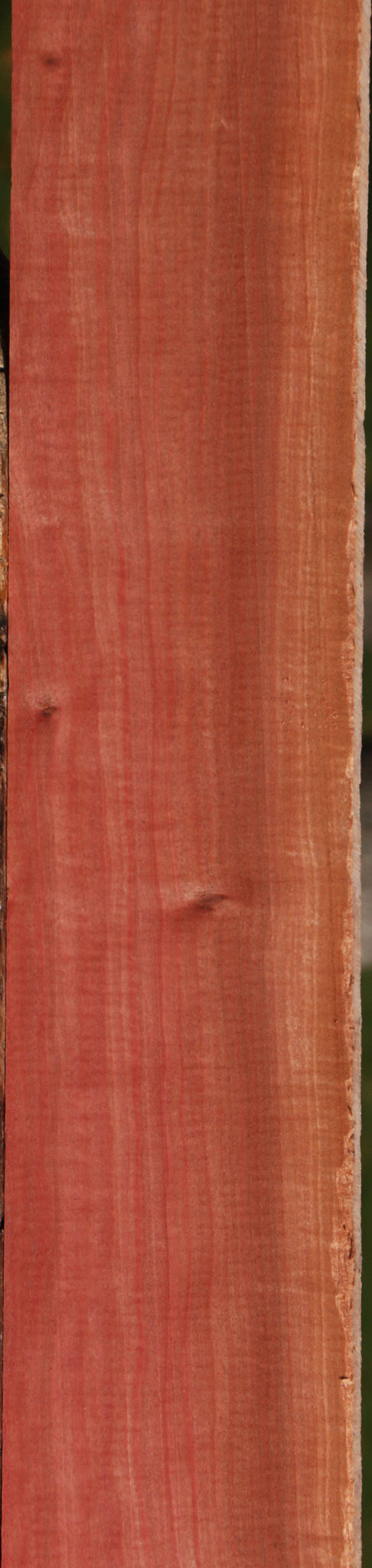 Figured Pink Ivory Micro Lumber