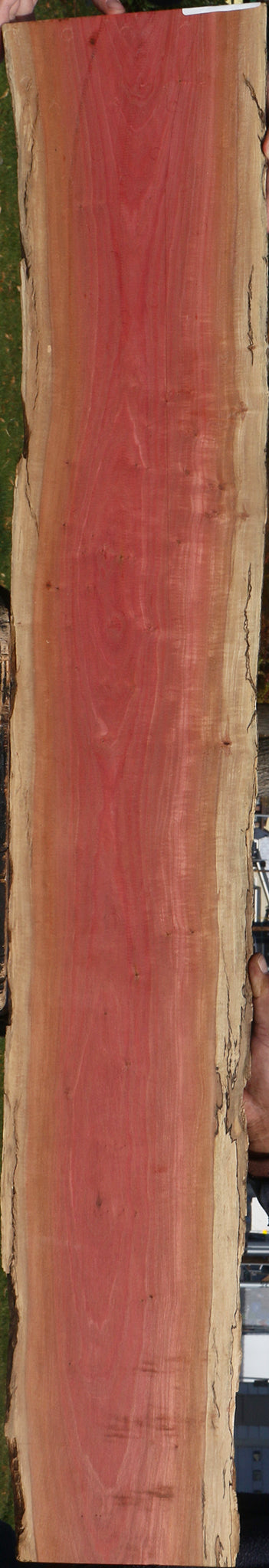 Figured Pink Ivory Live Edge Micro Lumber