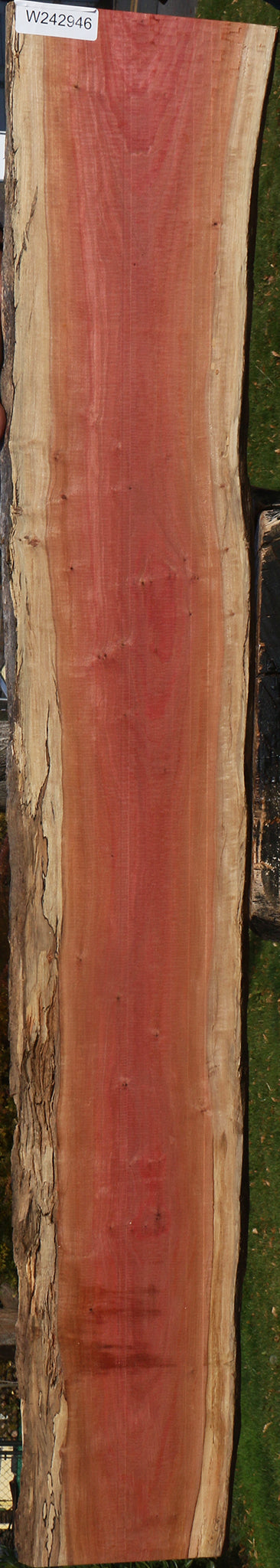 Figured Pink Ivory Live Edge Micro Lumber