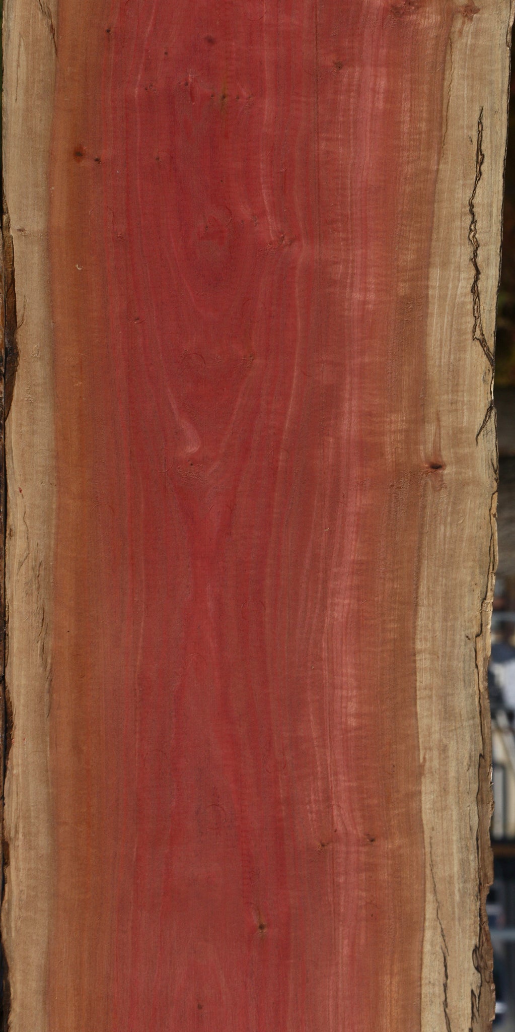 Figured Pink Ivory Live Edge Micro Lumber